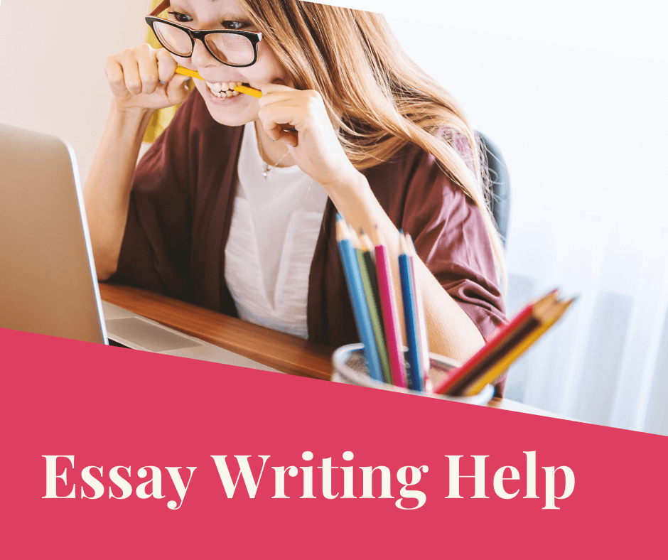 essay writing help
