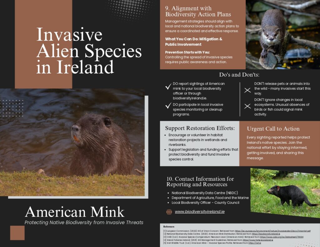 Brochure Sample MINK