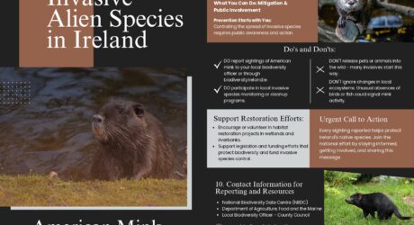 Brochure Sample MINK