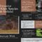 Brochure Sample MINK